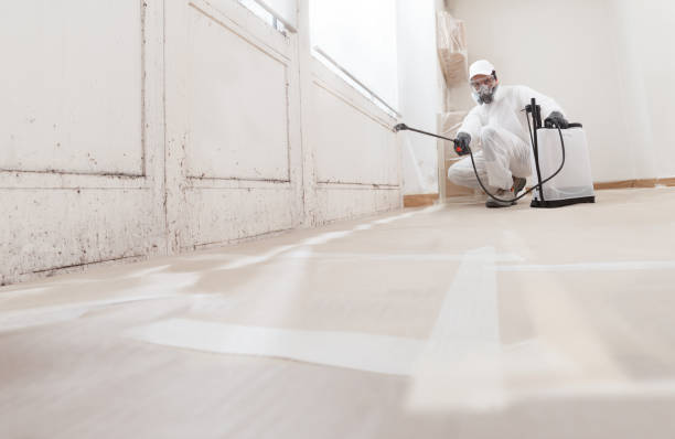 24/7 Emergency Attic Mold Removal experts in Greenbackville, VA